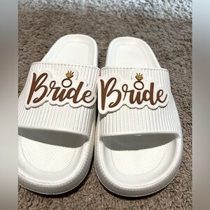 BRIDE Slides!